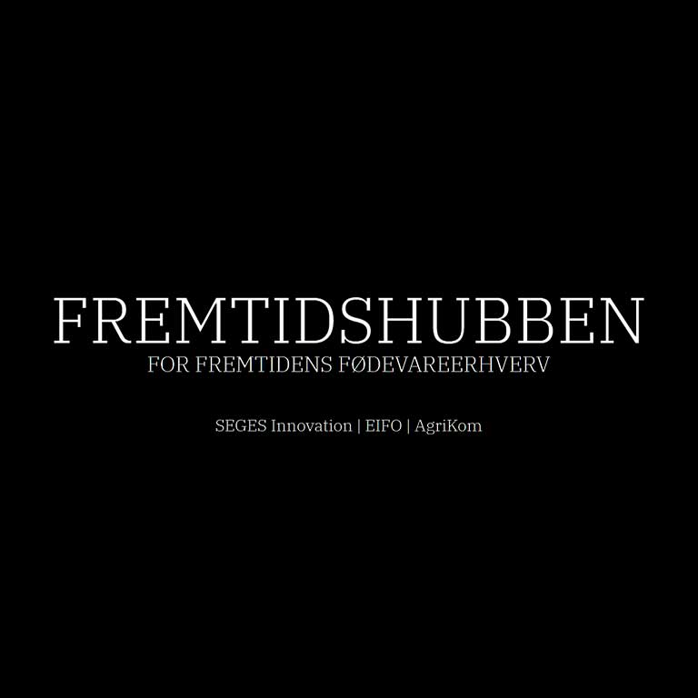 Fremtidshubben